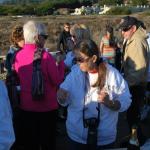 cambria2012_0222 (November 03, 2012)